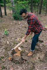 lumberjack in plaid shirt and denim jeans cutting wood with ax in forest