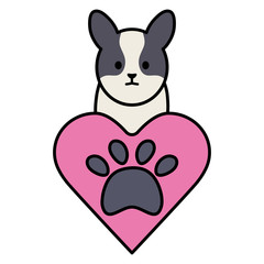 little dog adorable with heart and footprint
