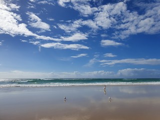 Naklejka premium waves -North Stradbroke Island 