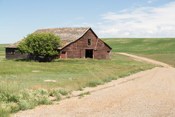 Fototapeta na wymiar old abandoned barn decide a country road