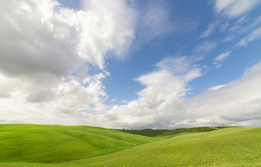 A huge green summer field with hills. On the horizon is a blue sky.