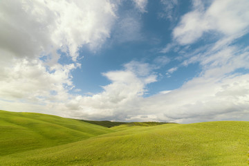 A huge green summer field with hills. Aerial sky landscape