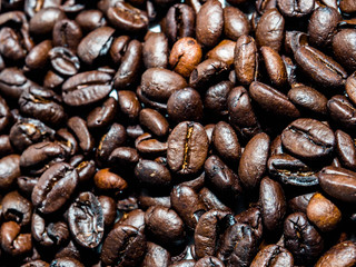 coffee seed isolated on white background