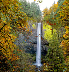 Latourell Falls in the Columbia Gorge, Oregon