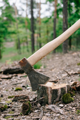 Heavy, sharp axe with wooden handle on wood stump in forest
