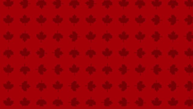 maple background animation looping video footage