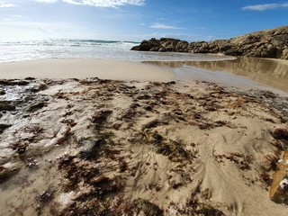beach and rocks - North Stradbroke Island 