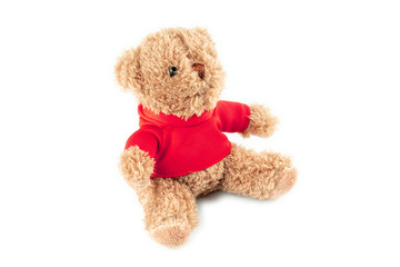 Lovely brown teddy bear isolated on white background, mock up for card celebration