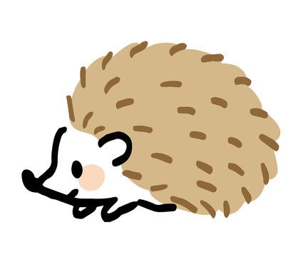 959 Best ハリネズミ Images Stock Photos Vectors Adobe Stock