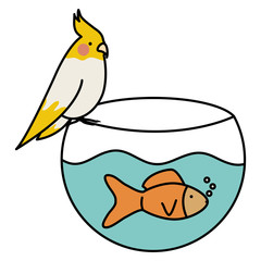 cute ornamental fish in aquarium with bird