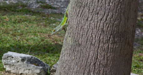 sea, beach, water, landscape, coast, ocean, nature, rock, blue, sky, island, shore, travel, bay, summer, coastline, sand, cliff, tourism, beautiful, mountain, vacation, tropical, green, seascape, boat