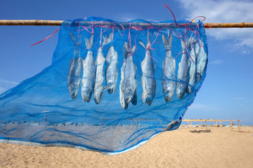Fourfinger threadfin dried fish, Thailand