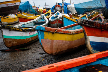 colorful fishing boats