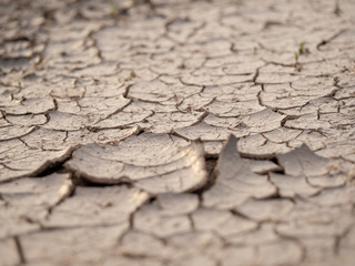 Land in the cracks of signs of drought      This image is suitable for use with content related to shortages, drought, inequality, disadvantage, water management, importance of water and etc.