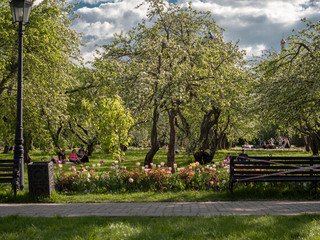 Fototapeta na wymiar People in Kolomenskoye Park on vacation Spring is beautiful in Kolomenskoye Park many beautiful flowers picnic was a success relax after work