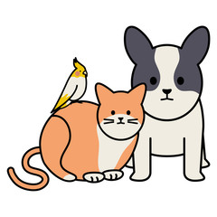 cute cat and dog with bird mascots adorables characters