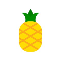 Pineapple vector, tropical related flat style icon