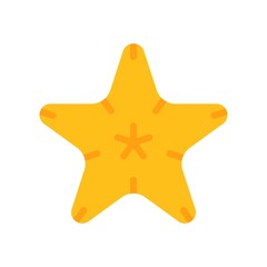 Starfish vector, tropical related flat style icon