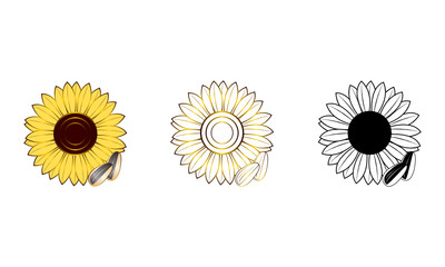 Set of sunflowers bloom logo vector in various form styles isolated on white background