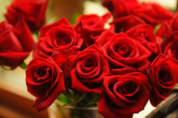 Fototapeta na wymiar 赤いバラの花束