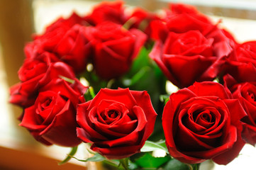 赤いバラの花束