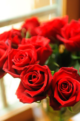 赤いバラの花束
