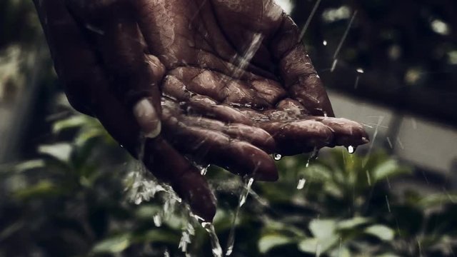 Afro-American Woman hands are touching water