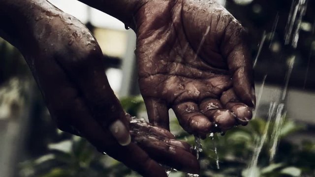 Afro-American Woman hands are touching water