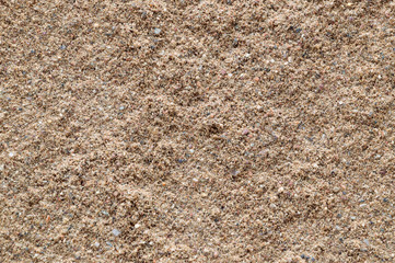 sandy background: rough construction sand surface, small stones