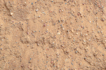 sandy background: rough construction sand surface, small stones
