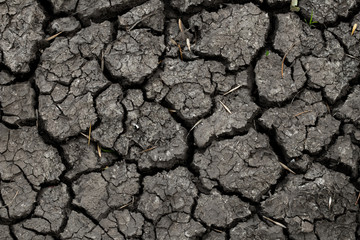 Texture of the dried earth, close-up. Wallpaper,Patterns and textures cracked soil,Drought of the ground.