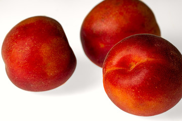 3 apricots isolated against bright background