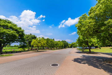 初夏の舎人公園の風景