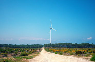 Fototapeta na wymiar Rural landscape with dirt road in the field. Wind turbine on the horizon