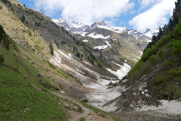German alps near Oberstdorf at 1100 m. May 2019