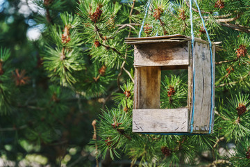 Empty handmade old wooden bird feeding trough hanging from a pine tree branch