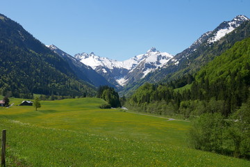 Fototapeta na wymiar German alps near Oberstdorf at 1100 m. May 2019