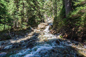 fast mountain stream at summer time in in garibaldi provincial park canada.