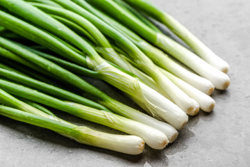 Bunch of fresh spring onion. Farm fresh organic vegetables freshly harvested from the garden.