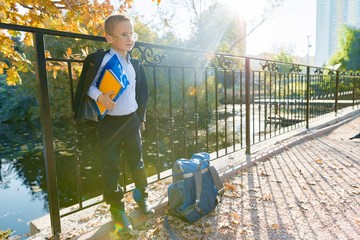 Back to school, portrait of boy with backpack, school supplies