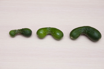  Ugly cucumbers on the table. Strange shaped cucumbers on a light wooden background. Ugly vegetables.