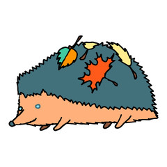 Hedgehog in autumn leaves. Outline with different colors on white background. Vector illustration