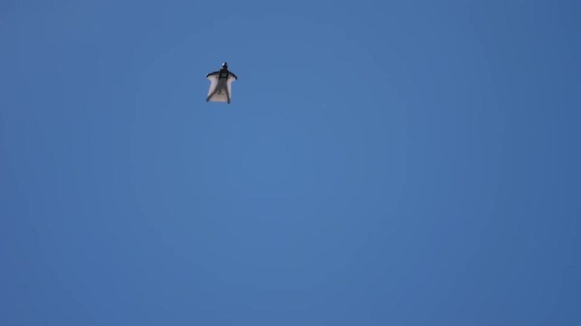 Wingsuite skydivers in sky