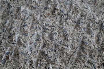 texture of bark of concrete wall