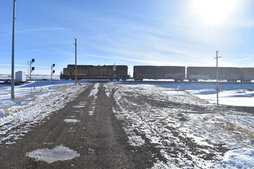 winter landscape