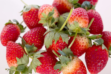  Strawberry on white background