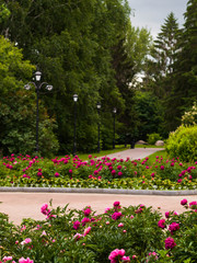 City park with flower beds and alleys. View of park with flower beds and green trees. Botanical garden. Summer landscape