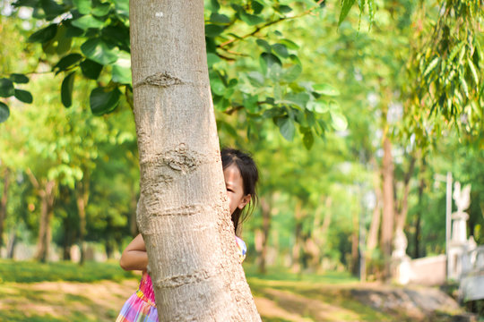 Little Asian girl hiding behind a tree in a summer green park.