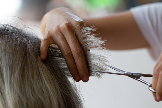 Closeup barber with Scissors cutting hair