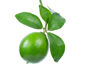Lime isolated on white background